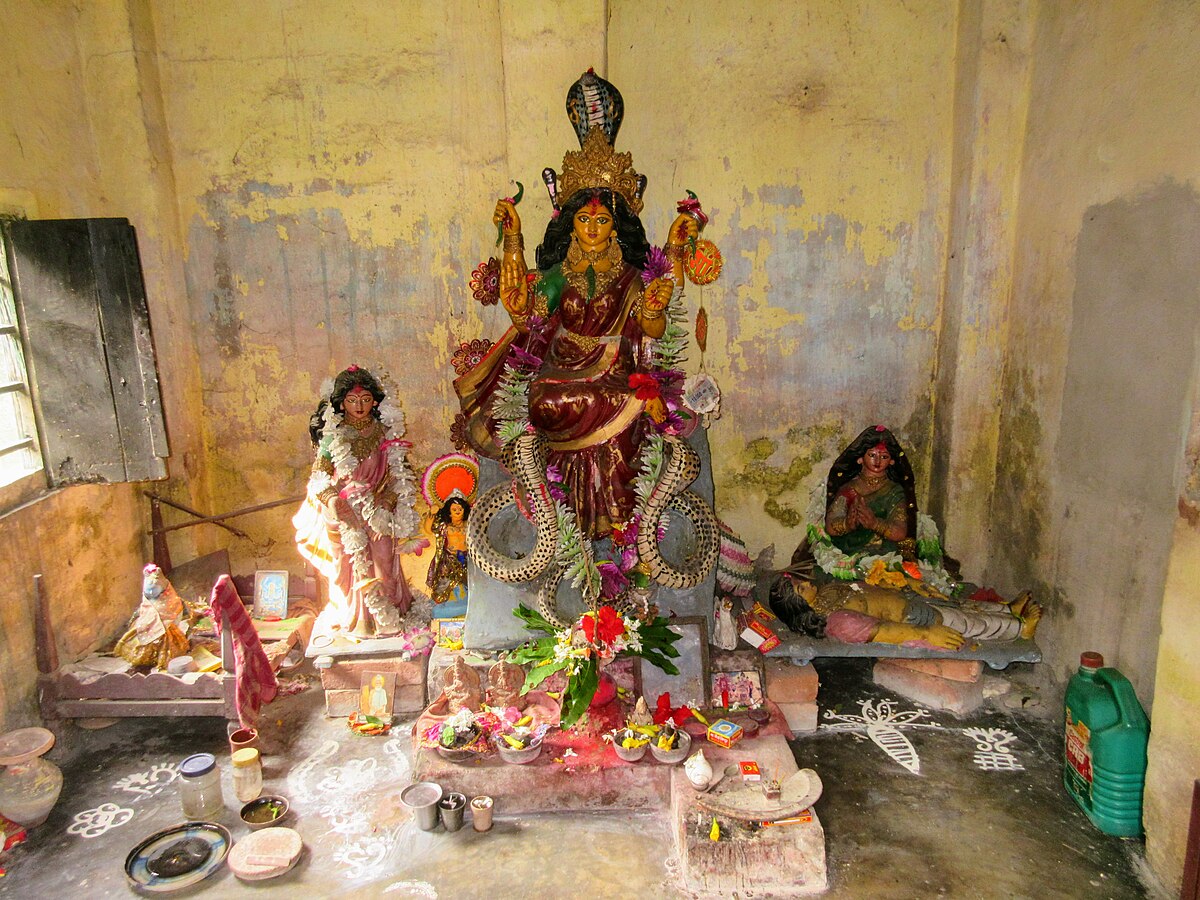 দেবী মনসা: বাংলার সর্পদেবী — সুরক্ষা, উর্বরতা ও লোকসংস্কৃতির অধিষ্ঠাত্রী