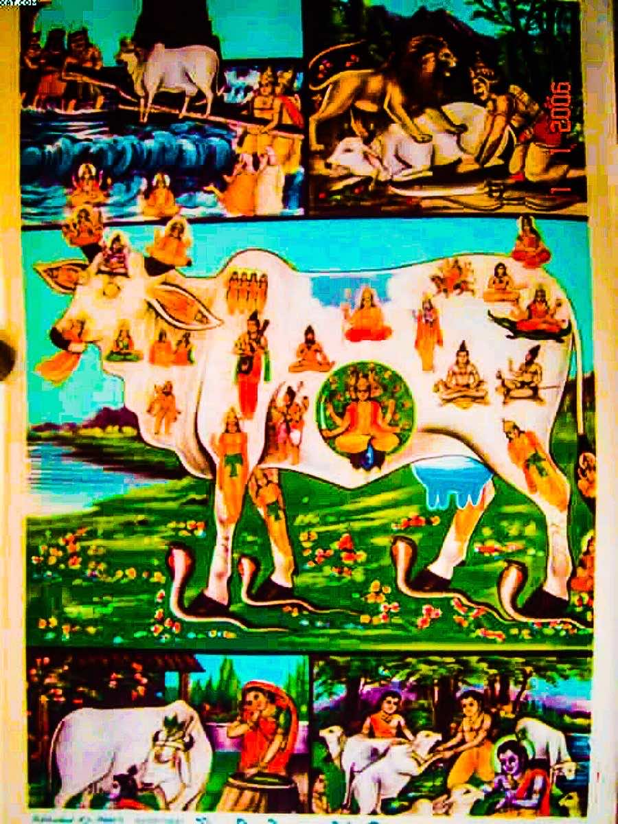 হিন্দু পবিত্র প্রাণী ও প্রতীকবাদ: হিন্দুধর্মে প্রাণীদের আধ্যাত্মিক তাৎপর্য