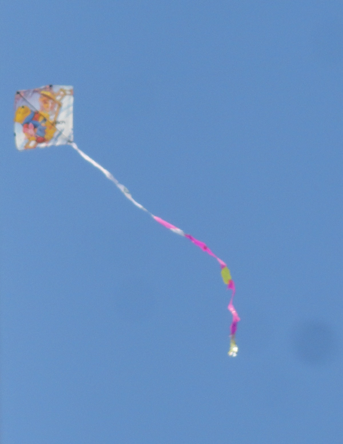 মকর সংক্রান্তি: সূর্য সংক্রমণের ফসল উৎসব