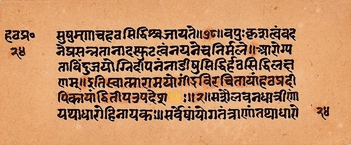 আসনের ঊর্ধ্বে যোগ: হিন্দু ধর্মের সম্পূর্ণ যোগ পরম্পরা